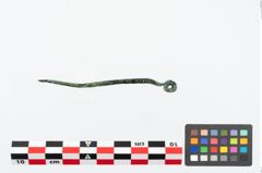 Foto von Bronzerollenkopfnadel (NHMW-PRAE-026160)